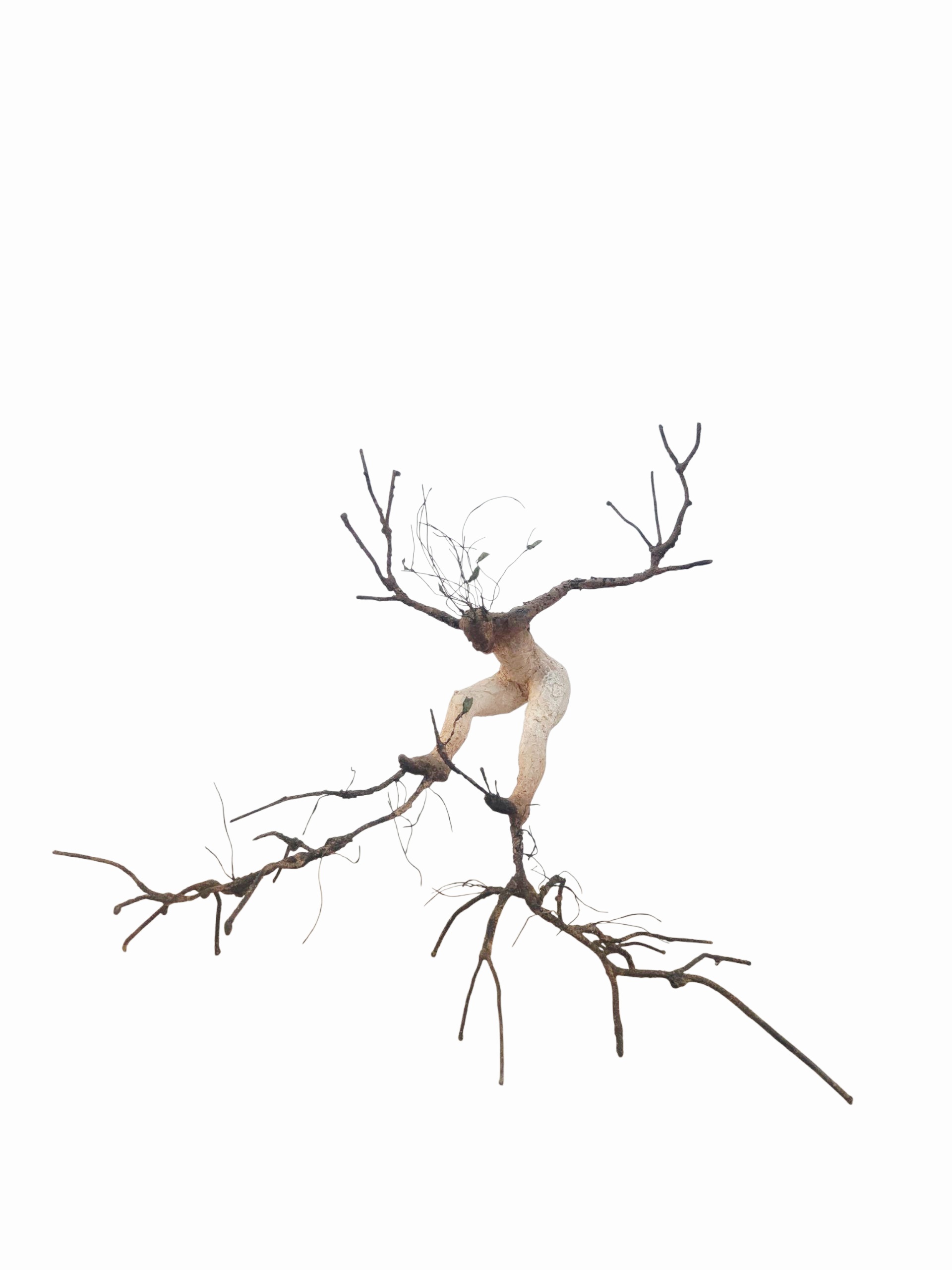 "Arborescence - 9" [Terre, pâte à papier, patine - 11 x 39x 26]