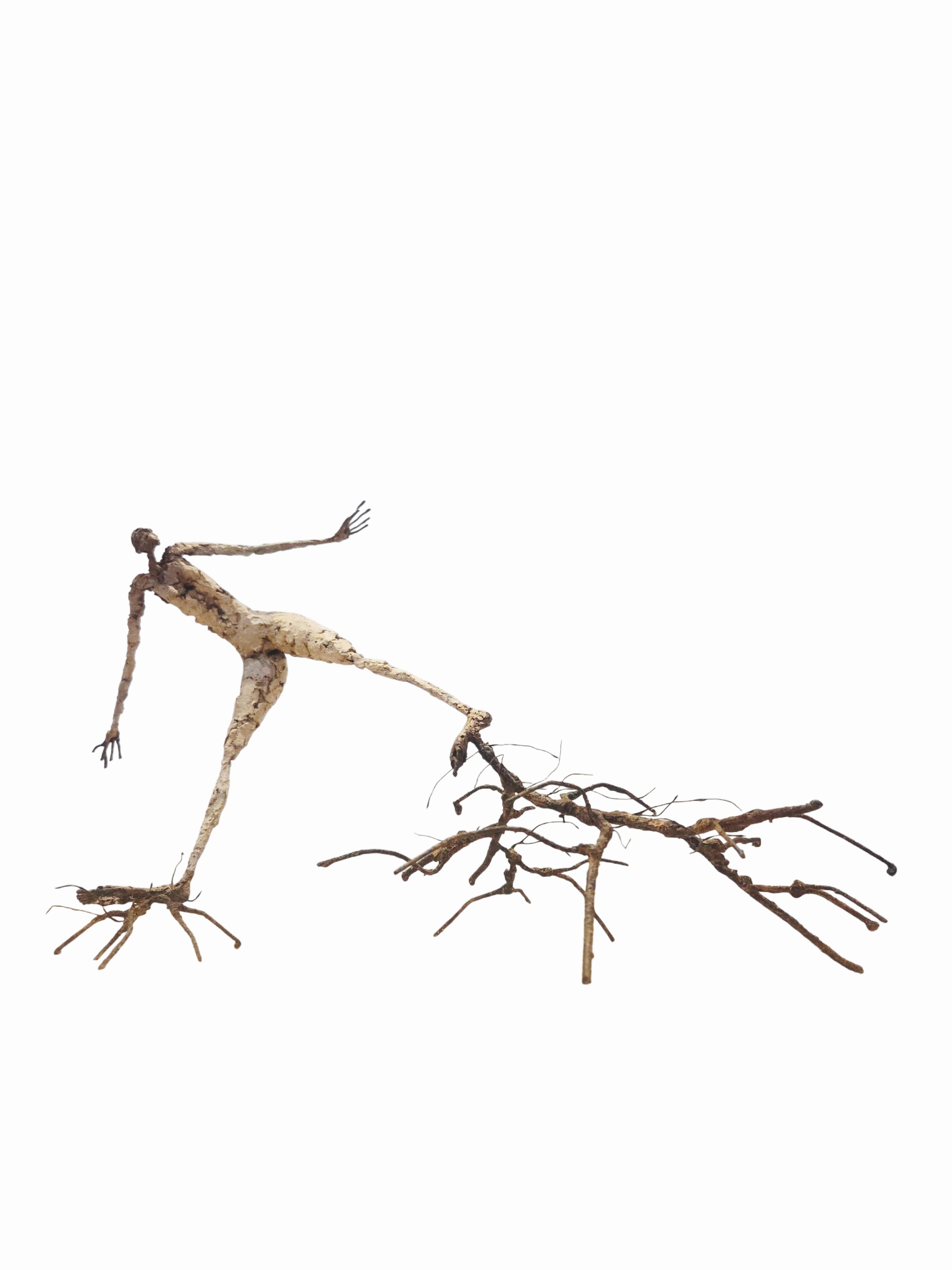 "Arborescence - 12" [Acier soudé, pâte à papier, patine - 25 x 22 x 46]