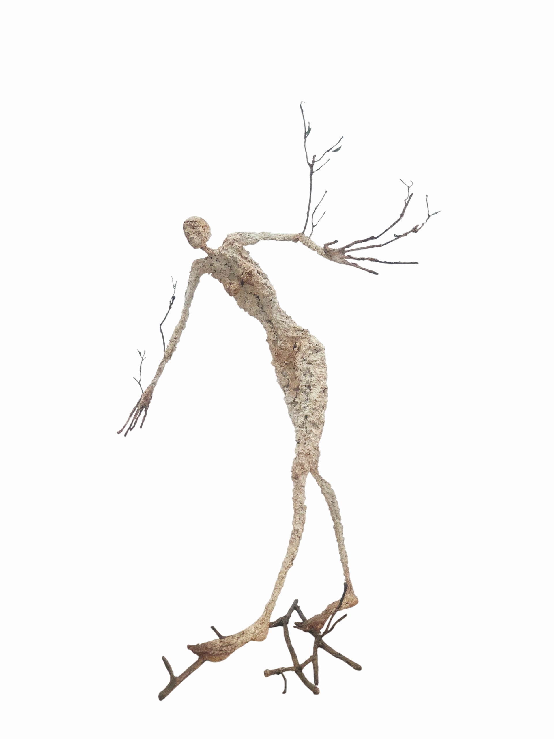 "Arborescence - 5" [Terre, pâte à papier, patine - 71 x 47 x 40]