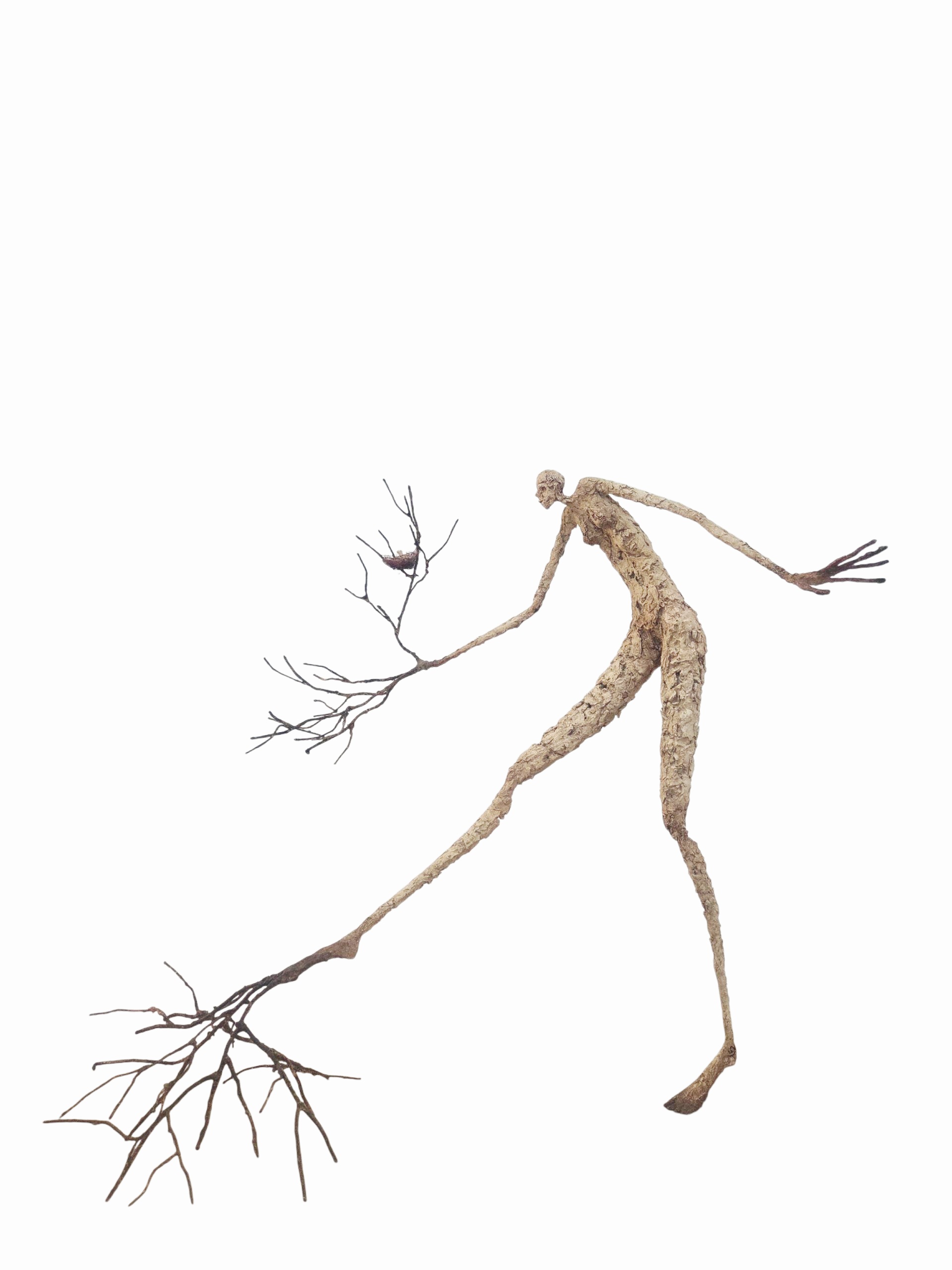 "Arborescence - 7" [Terre, pâte à papier, patine - 58 x 60 x 42]