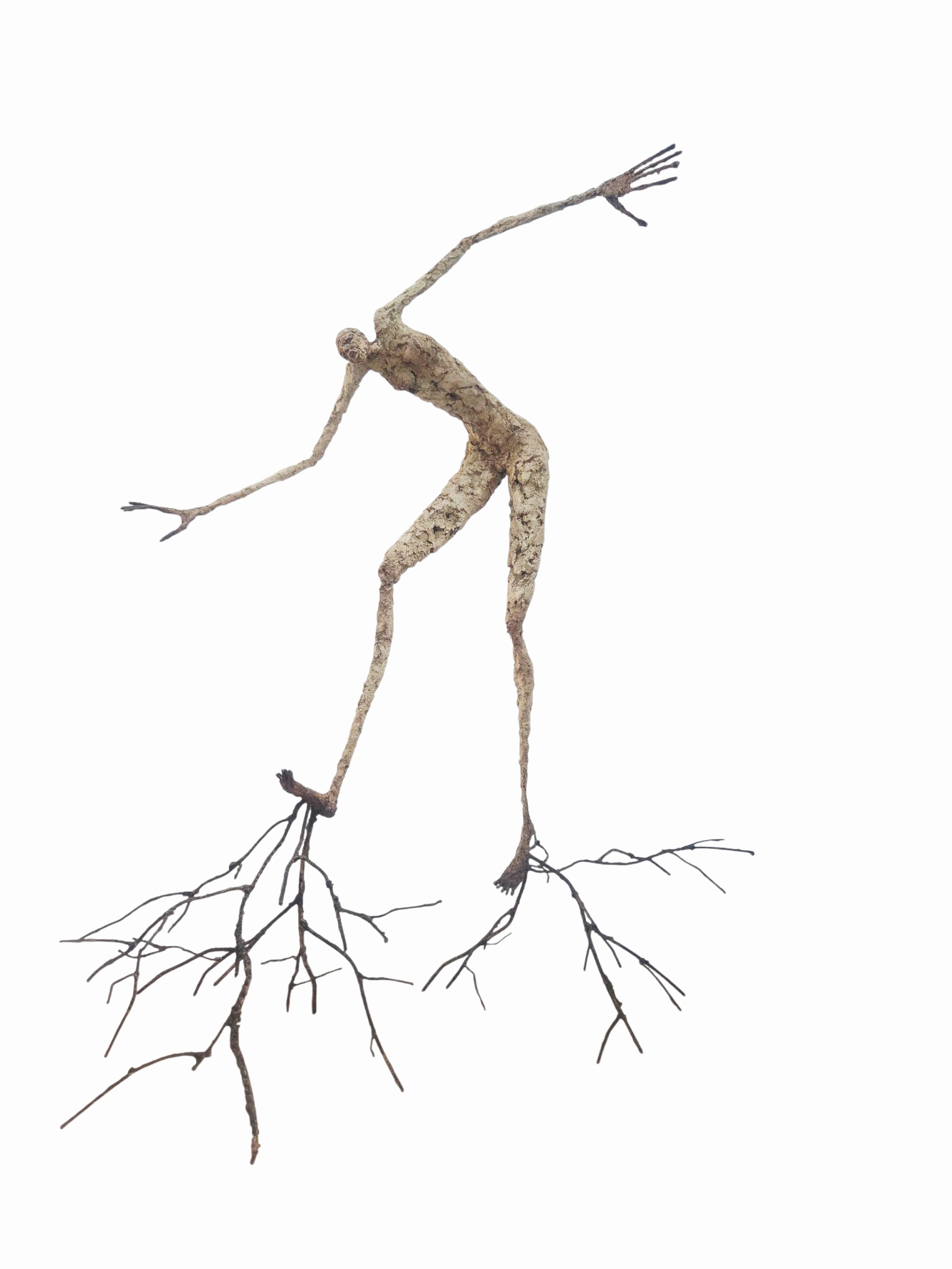 "Arborescence - 8" [Terre, pâte à papier, patine - 69 x 66 x 28]